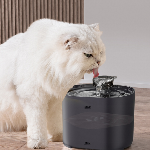 AquaPaw-Fontaine à Eau Automatique pour Chat